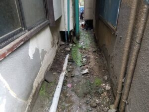 三創緑園の施工事例東京都杉並区の手取除草後の写真です。