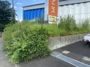 三創緑園の神奈川県伊勢原市K様草刈作業前の写真です。