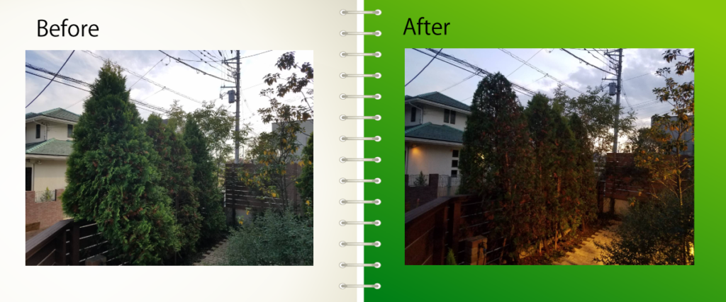 株式会社三創緑園が施工した神奈川県横浜市青葉区　B様　刈込作業の写真です。