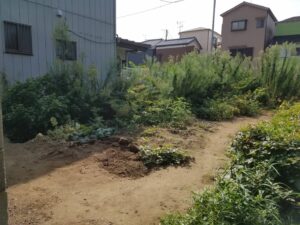 東京都北区B様の草刈りの施工事例前の写真です。